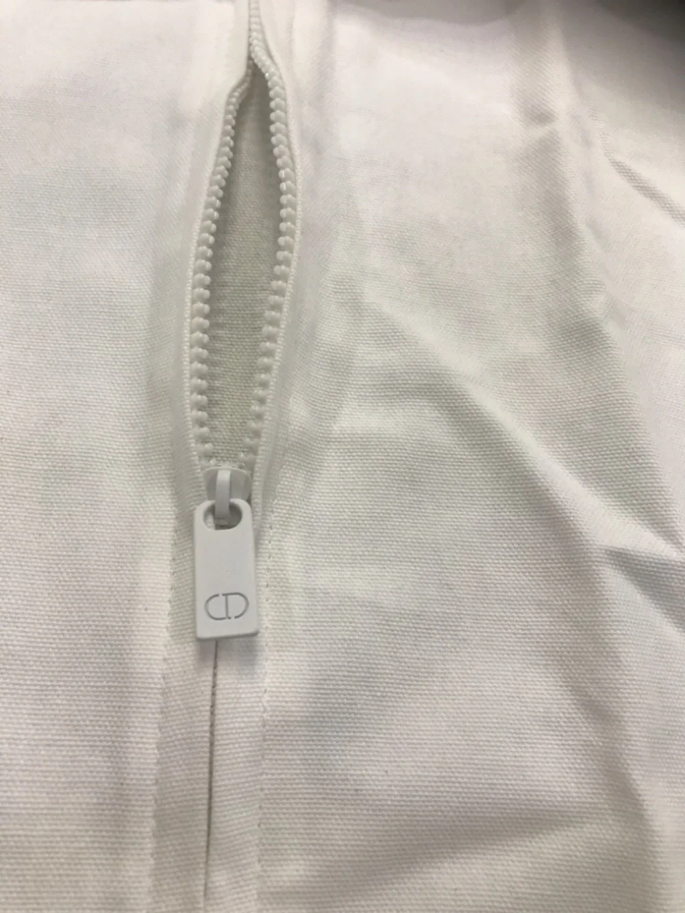 DIOR ZIPPERED DRESS BAG